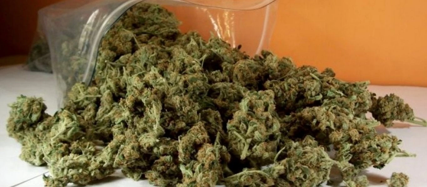 Έβαλαν τις υπογραφές για τα μέσα αποχαύνωσης – Τέθηκαν οι όροι και οι προϋποθέσεις για την καλλιέργεια φαρμακευτικής κάνναβης από την ΚΥΑ